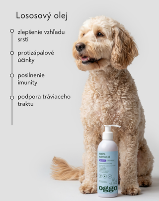 Lososový olej 100 % doplnkové krmivo pre psov na imunitu a energiu Oggo 250 ml - 2