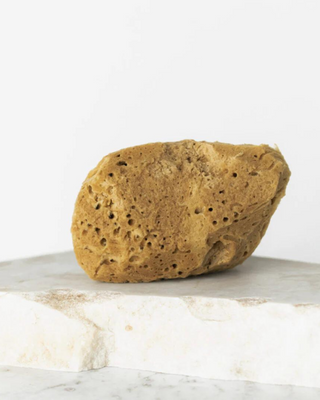 Prírodná morská špongia hnedá9,5cm 02F hypoalergénna a antibakteriálna Hhuumm - 2