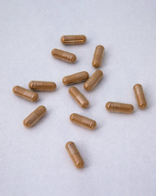 Extrakt z listov Ginkgo Biloba Nutridome 60 ks - 2