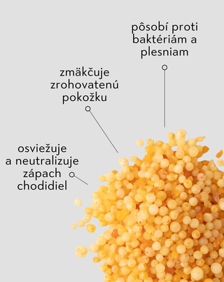 Nutridome soľ do kúpeľa na nohy so 45 % močoviny a eukalyptom - 2