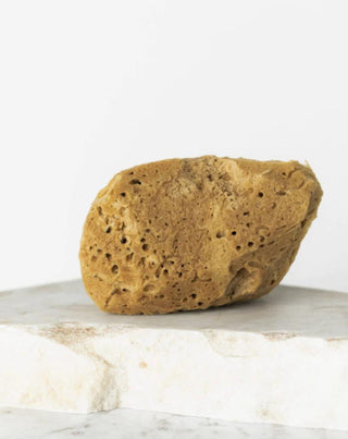 Prírodná morská špongia hnedá 9,5cm 02F hypoalergénna a antibakteriálna Hhuumm - 2