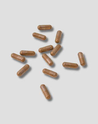 Extrakt z listov Ginkgo Biloba Nutridome 60 ks_2 - 2