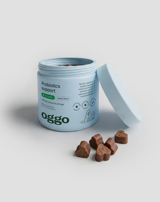 Probiotiká pre psov doplnkové krmivo pre psov na trávenie, tráviaci trakt a imunitu Oggo 180 g