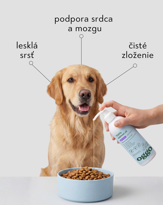 Lososový olej 100 % doplnkové krmivo pre psov na imunitu a energiu Oggo 250 ml - 3