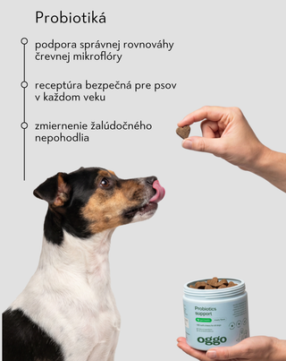 Probiotiká pre psov doplnkové krmivo pre psov na trávenie, tráviaci trakt a imunitu Oggo 180 g - 2